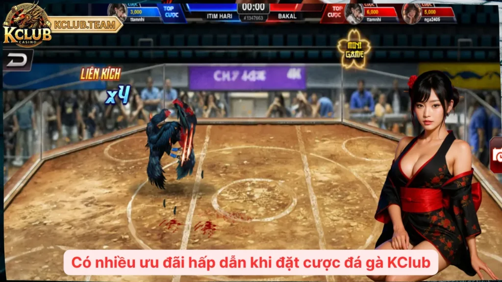 Có nhiều ưu đãi hấp dẫn khi đặt cược đá gà KClub